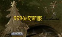 999传奇新服